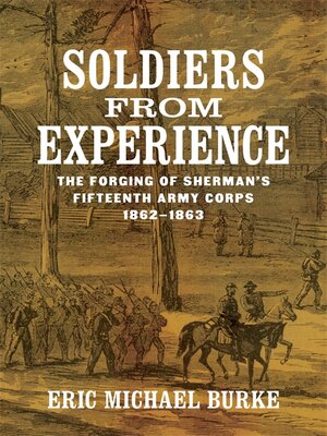 cover image of Soldiers from Experience
